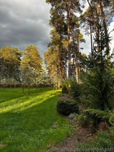 Today dasha and i worked a lot she worked and i walked around and part 5