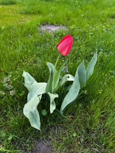 Today dasha and i worked a lot she worked and i walked around and part 2