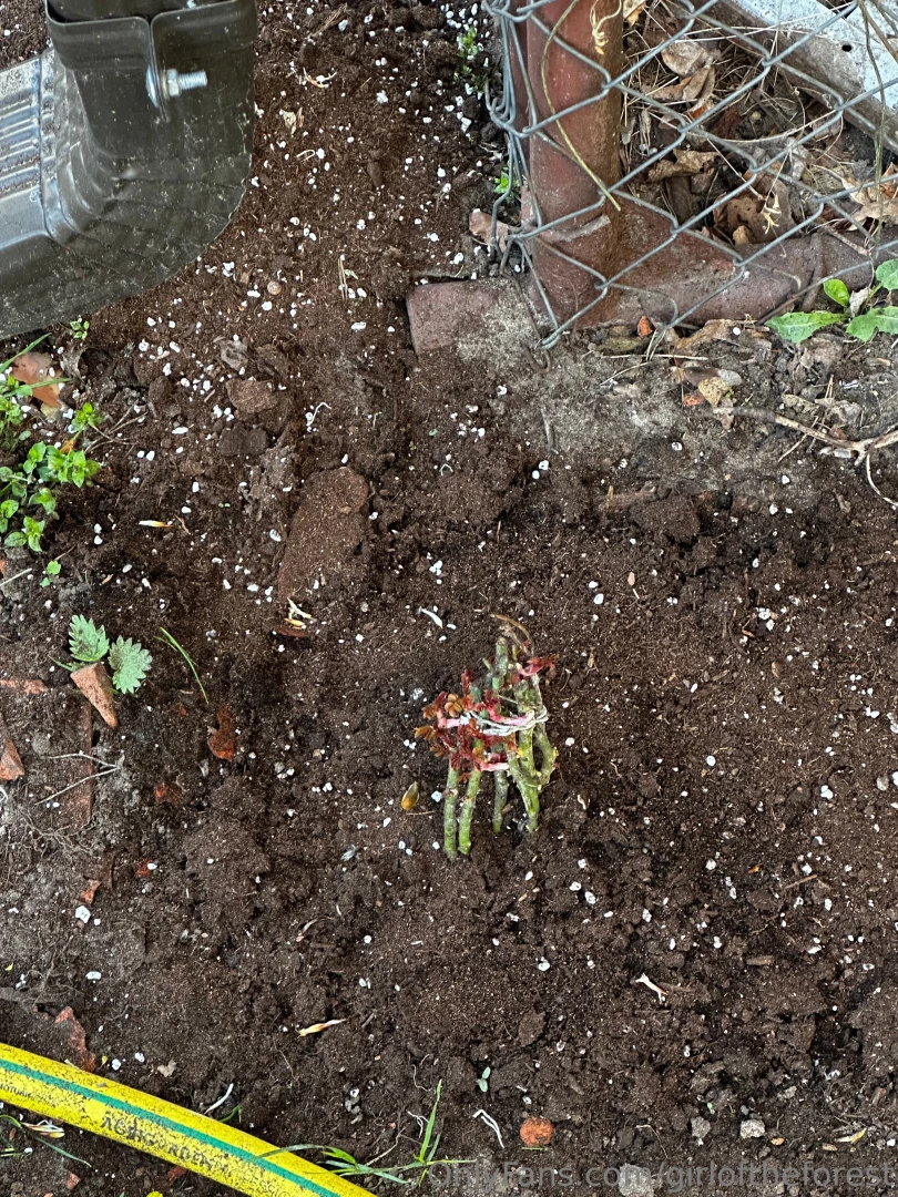 Today dasha and i worked a lot she worked and i walked around and part 4 