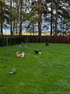 Today dasha and i worked a lot she worked and i walked around and part 6