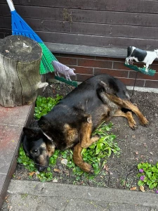 Guys i think it s time to rename my onlyfans to onlygardenwork