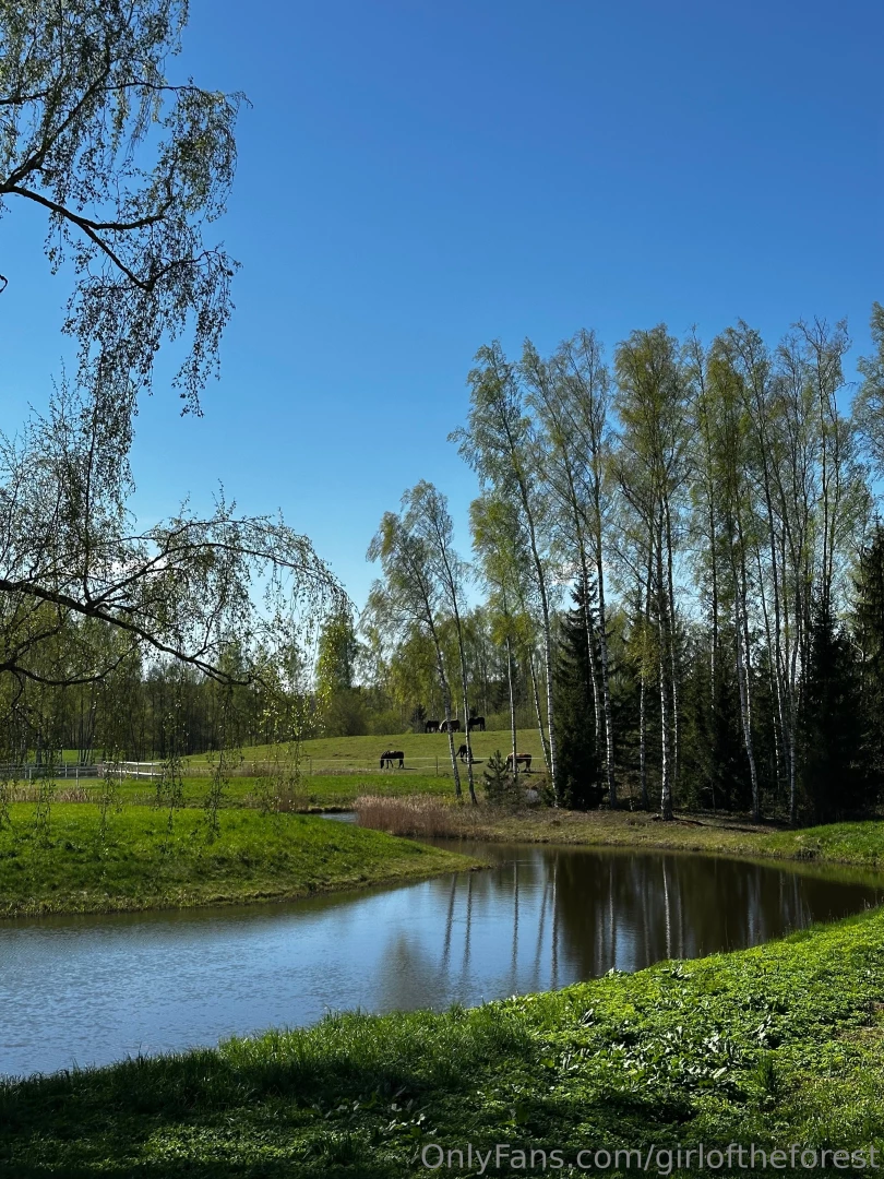 My friends horses i absolutely adore horses even though life turned 