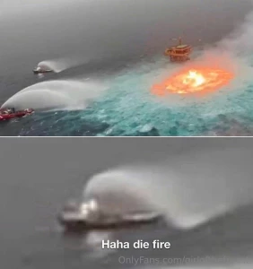 Hey sweet beans how s life personally i m living my absolute best