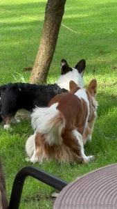 Finally some real quality of content i have a new friend his name is