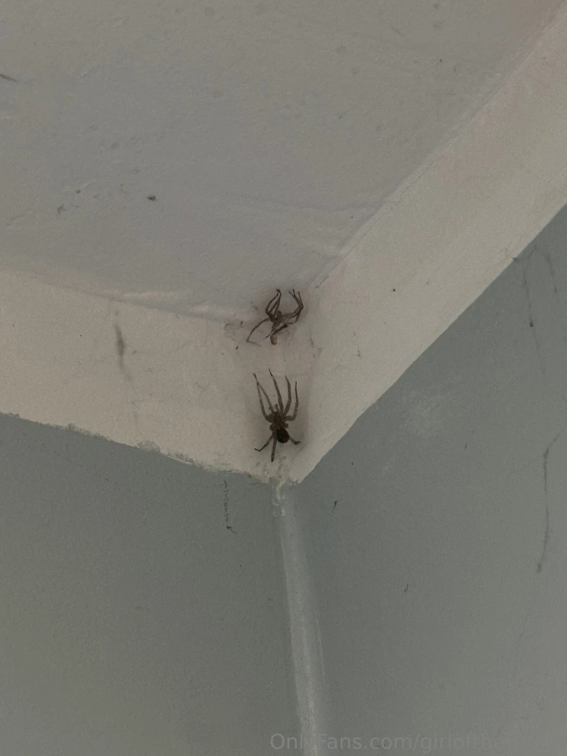Finally some real quality of content i have a new friend his name is part 2 