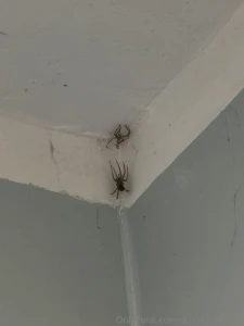 Finally some real quality of content i have a new friend his name is part 2