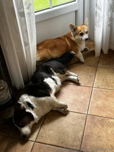 Guys i was actually planning to write a post about physics but i m part 6