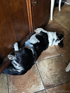 Guys i was actually planning to write a post about physics but i m