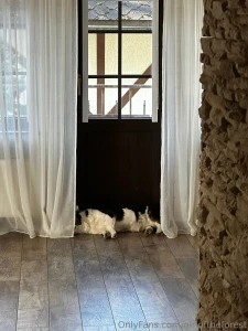 I just got back from a funeral the father of my brother s wife passed part 1