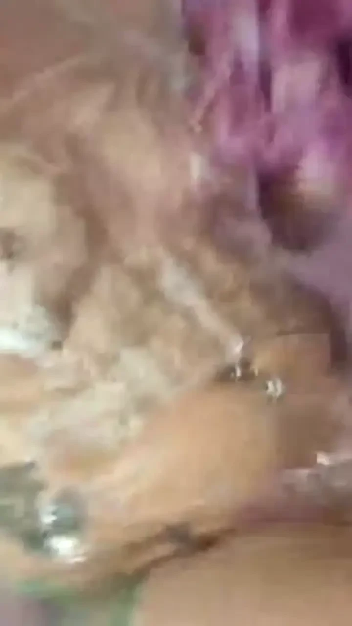 Stream started at 10 09 2024 02 37 am 