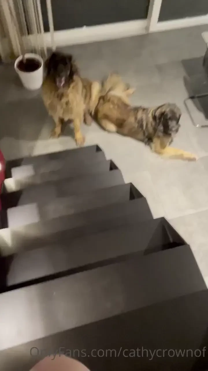 Mes deux grands leon gauche et pol droite 