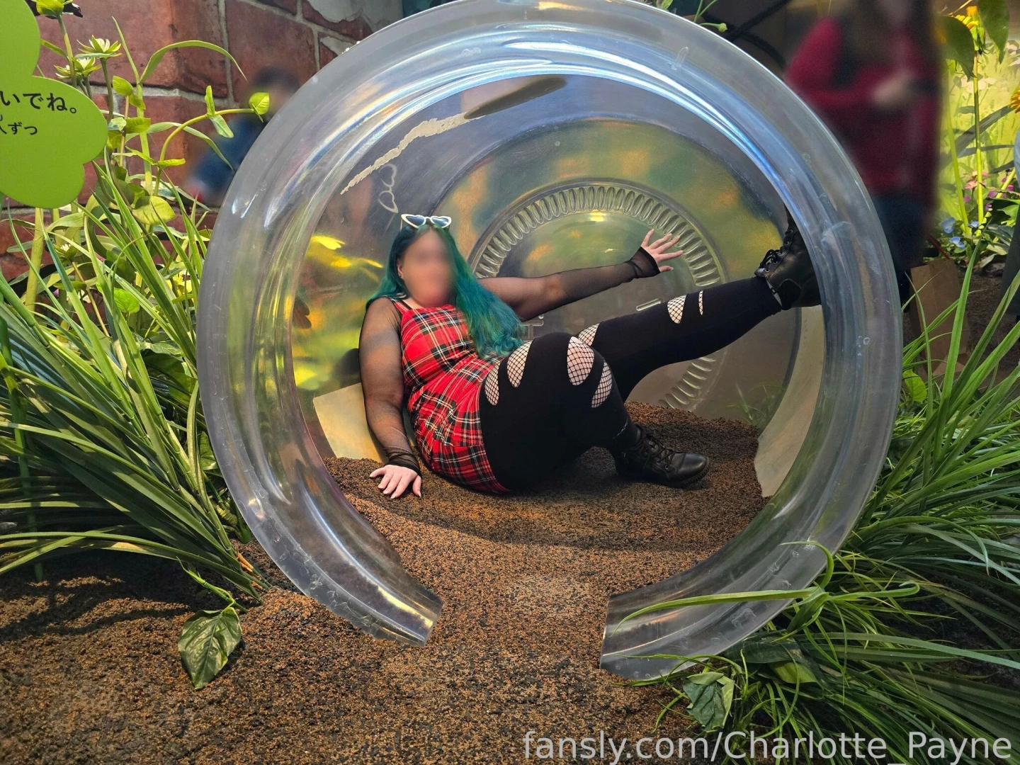 I ve entered the secret world of arrietty 