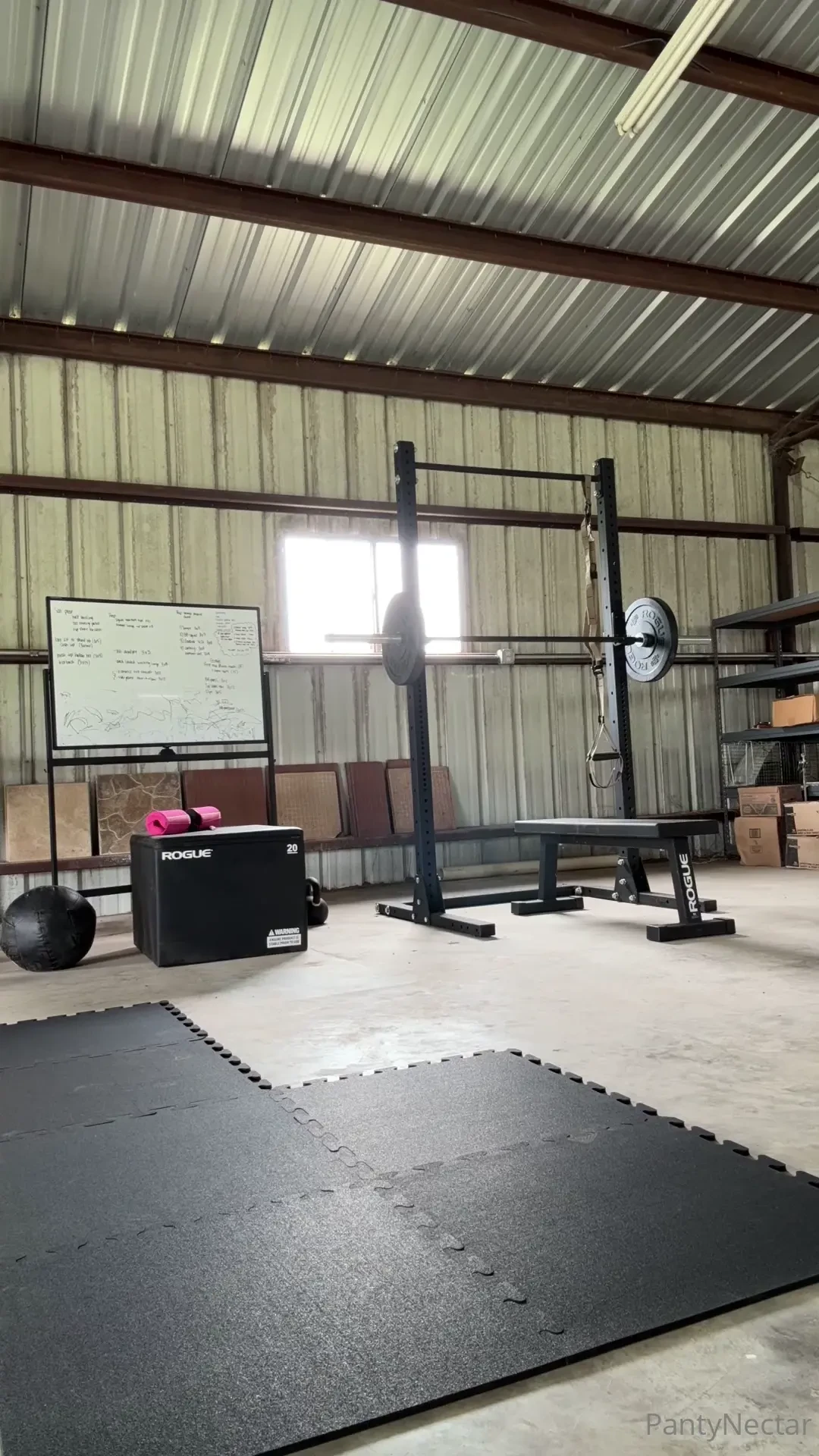 Put a little section down in my shop gym today 