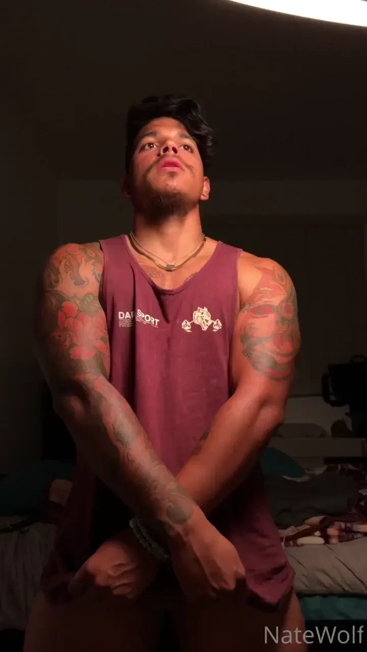 Wolf cock 