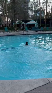 Happy new year part 1204