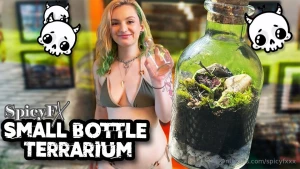 Free video watch me make a small terrarium in a bottle while in a