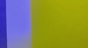 Entre ni as nos portamos mal papi mi amiga anniejarochita y a mi nos