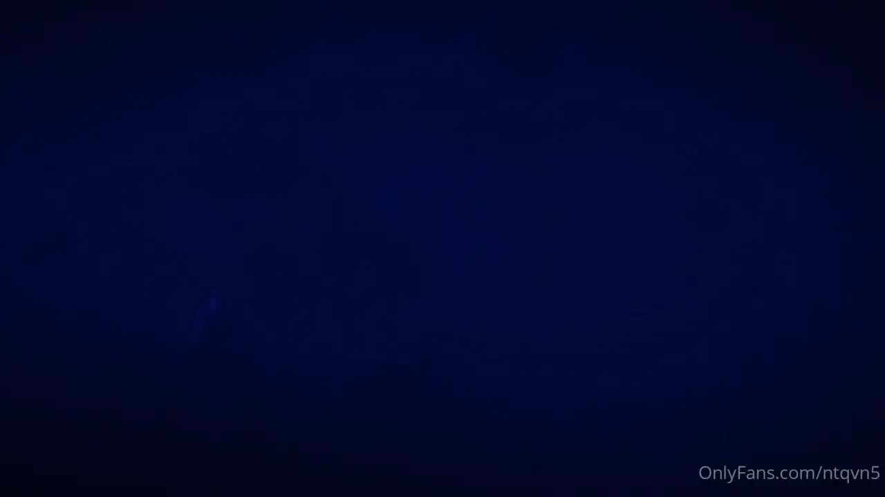 International collab serries yesbear 