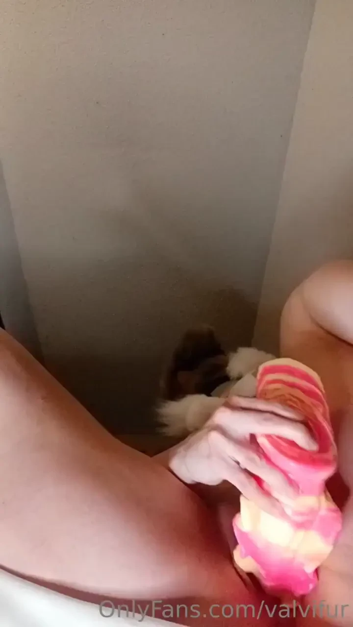 So sorry for the lack of content this past week or so my ac went out 