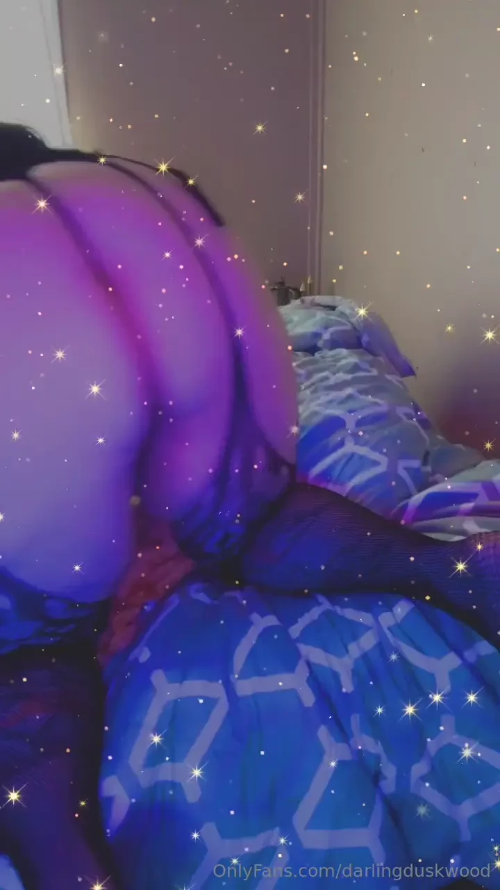 Ever take a cat on a sushi date already buzzing with excitement you 