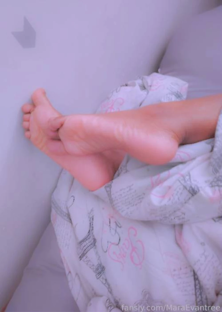 Do you like the night or the day 