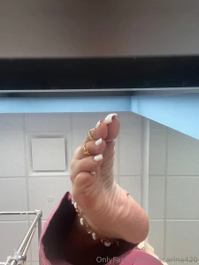 Window lighting on the paws