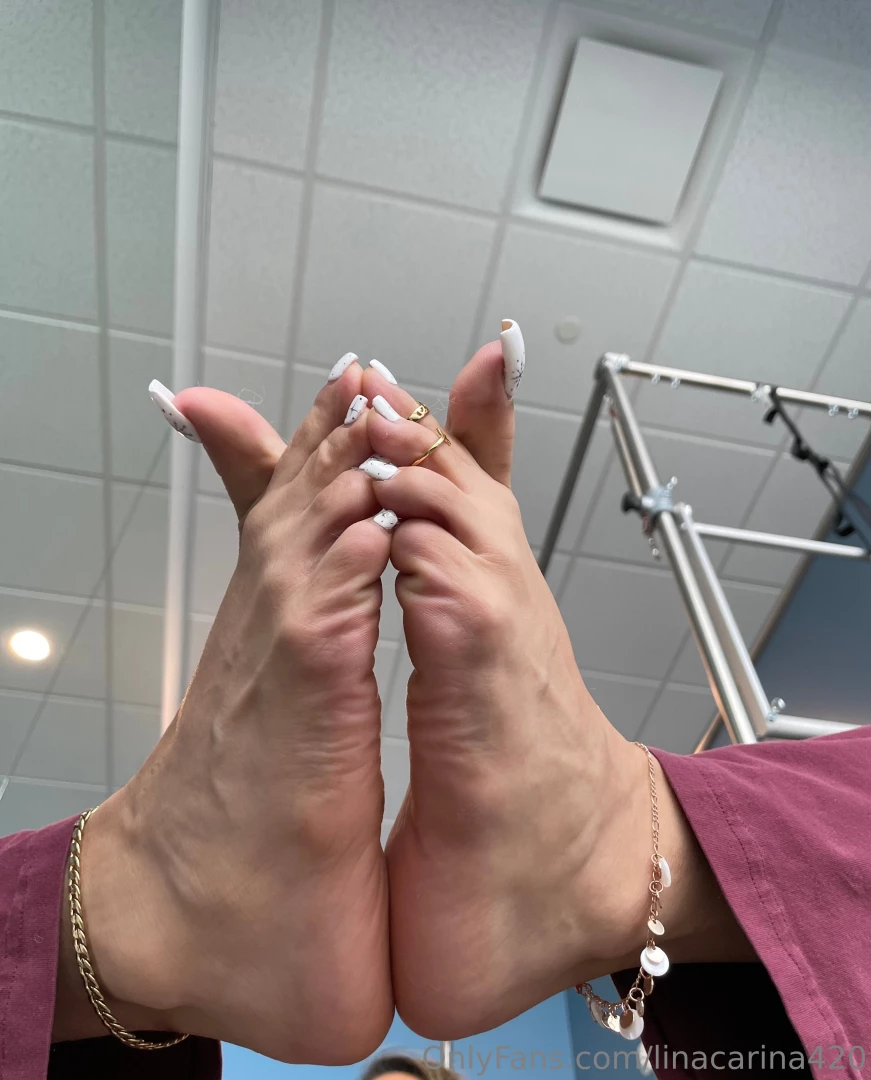 Window lighting on the paws part 6 