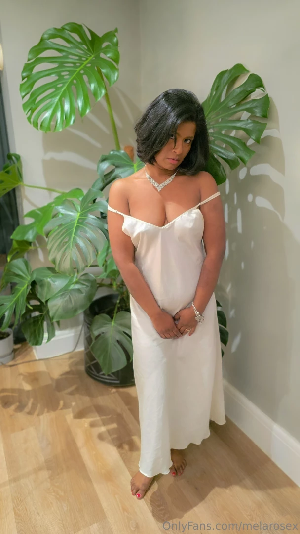 I m dwarfed by some of my plants would you rescue me from the jungle 