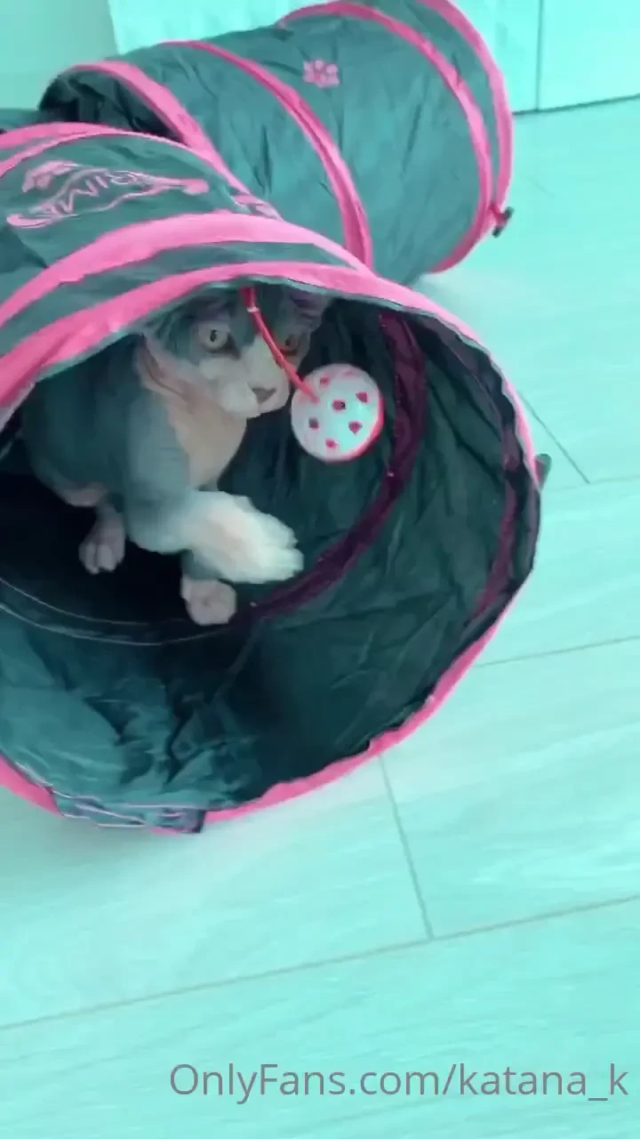 Whoever sent me these gifts for my birthday please send me a message 