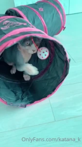 Whoever sent me these gifts for my birthday please send me a message