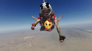 Bucket list adventure i was a rookie sky diver but i still had to give