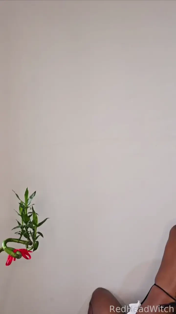 Let me clean for you please 