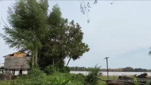 Garchando en el jardin de la casa de mi amigo fui a ver a mi amigo a