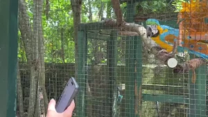 Dance with me part 128