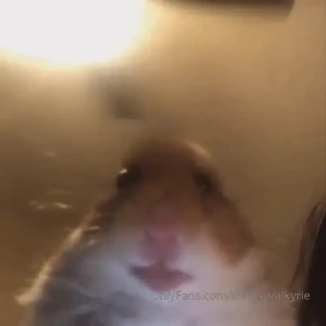 Make sure to scroll til the end i m trying to be funny- i considered