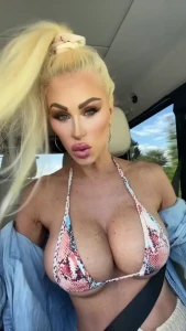 Sky rockets in flight afternoon delight part 1