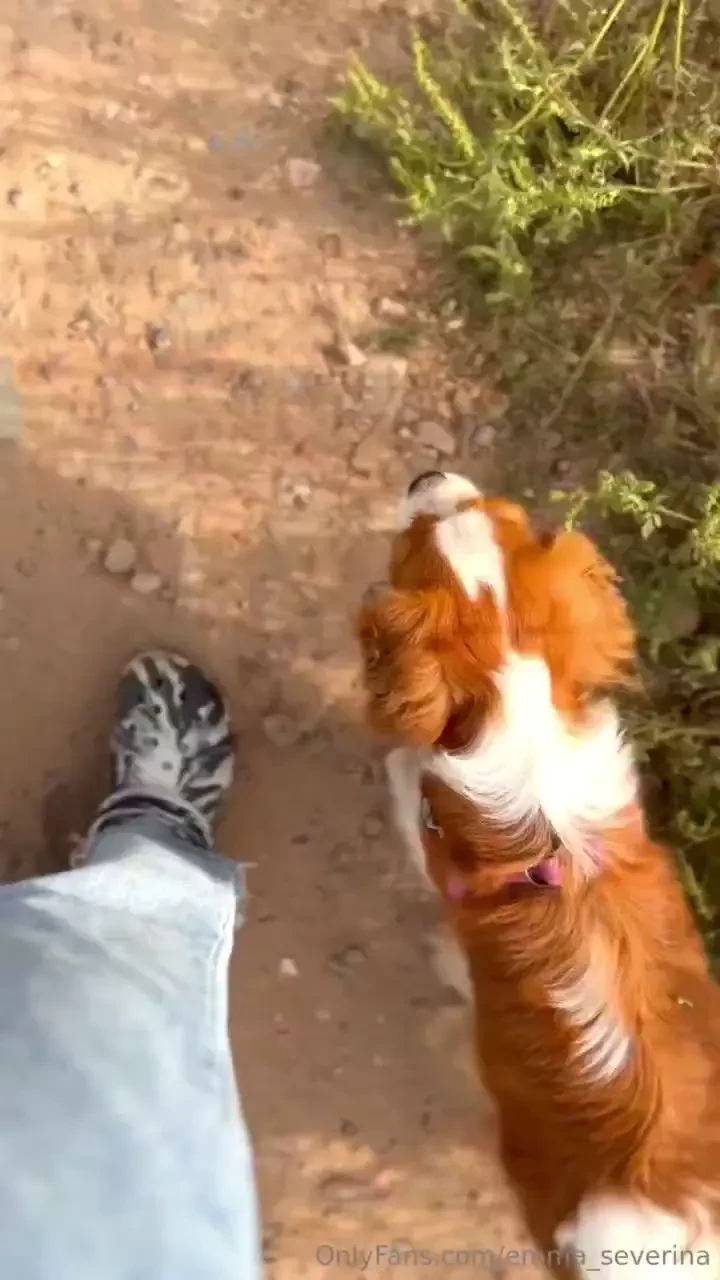 We like to walk together our connection seems strong and harmonious - 