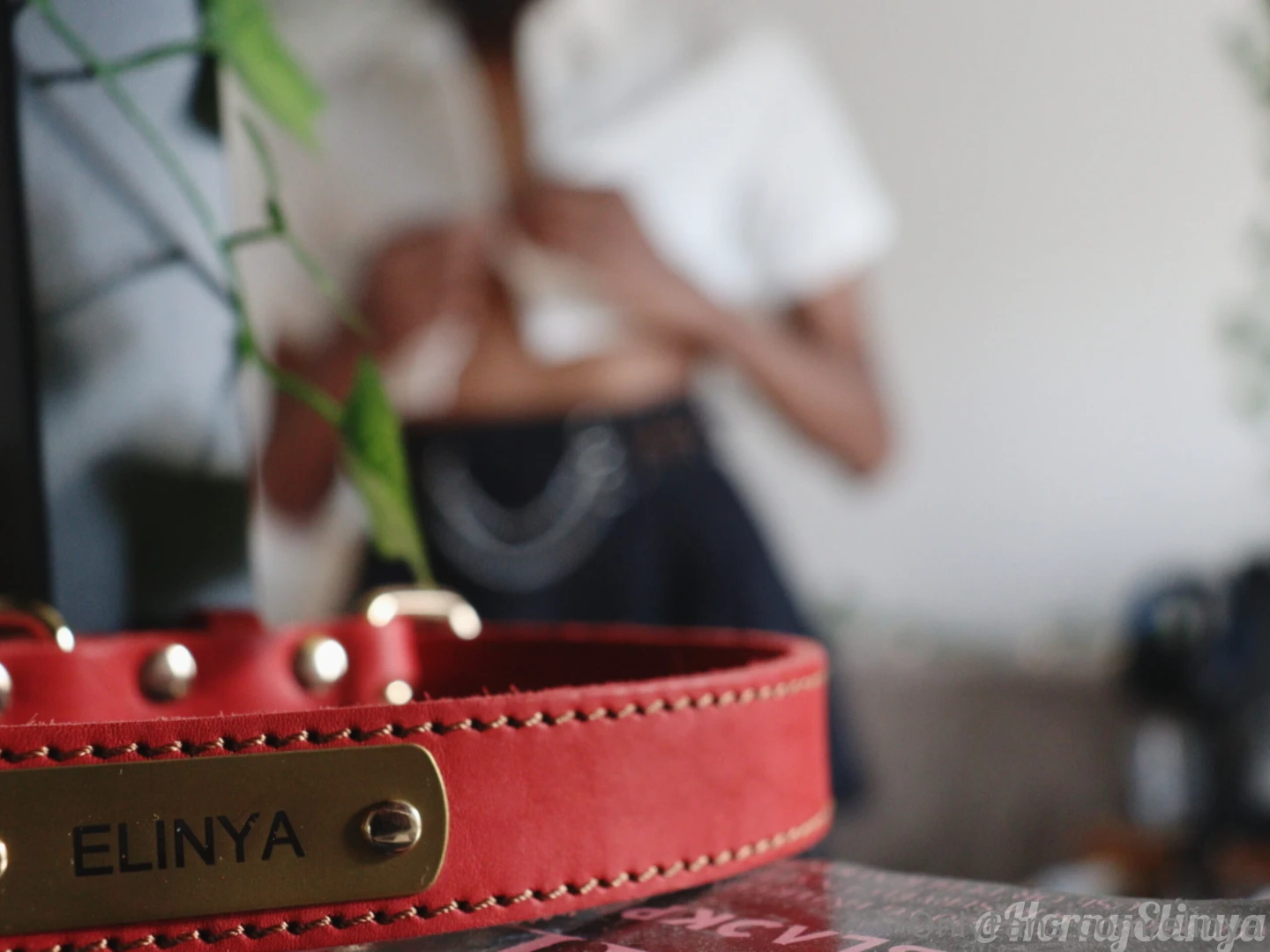 Merry christmas all part 5 