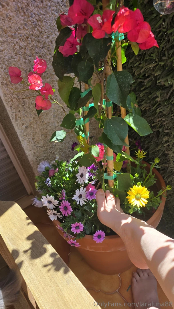 La primavera est en casa part 2 