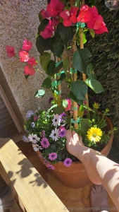 La primavera est en casa part 2