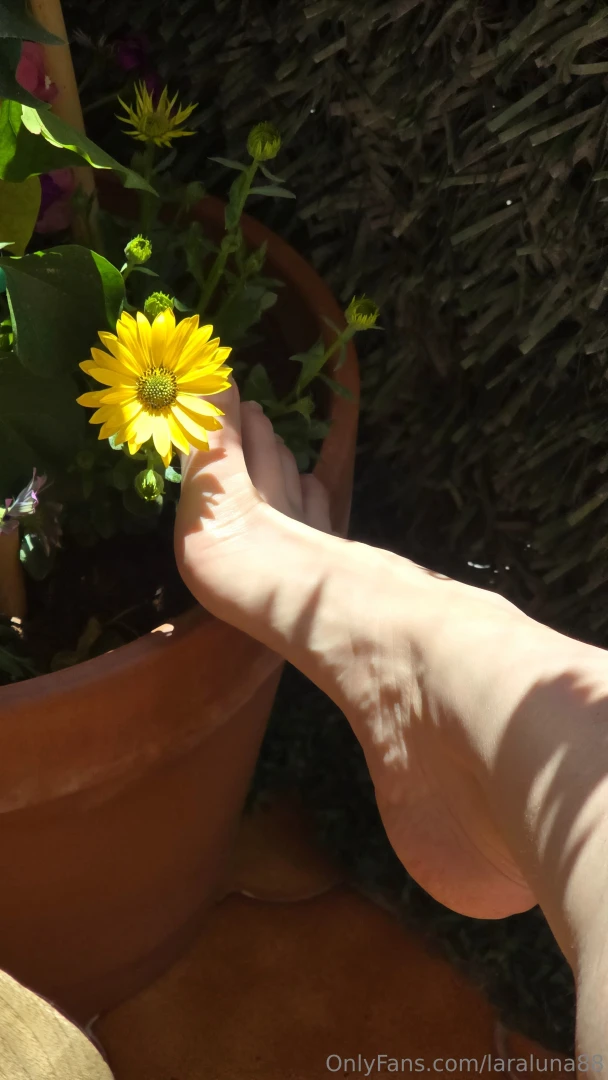 La primavera est en casa 