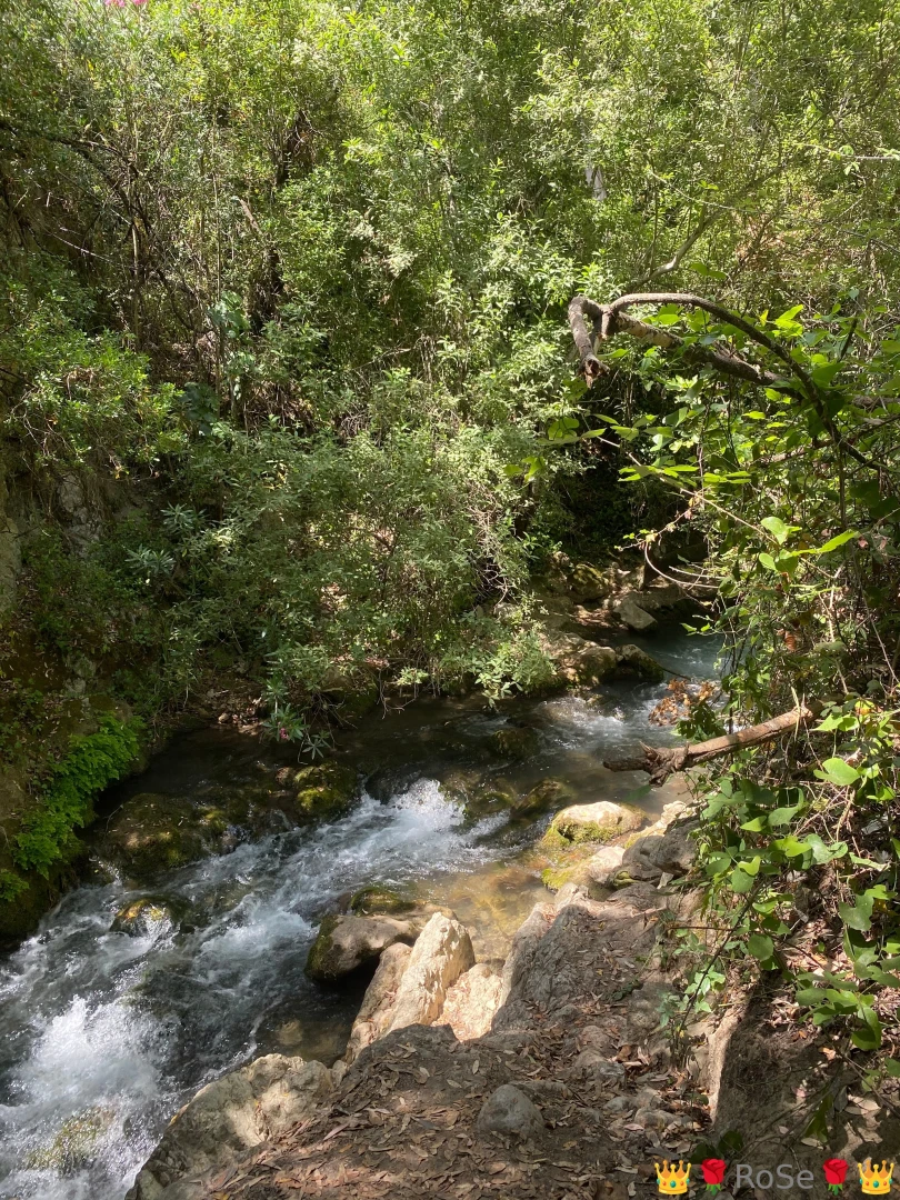 She is a whisper of wild magic a sensual forest nymph dancing through 