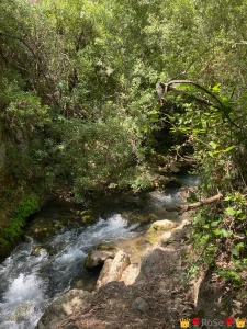 She is a whisper of wild magic a sensual forest nymph dancing through