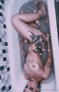 Free subscription sweet and gentle but also terribly sexy stella_waifu part 270