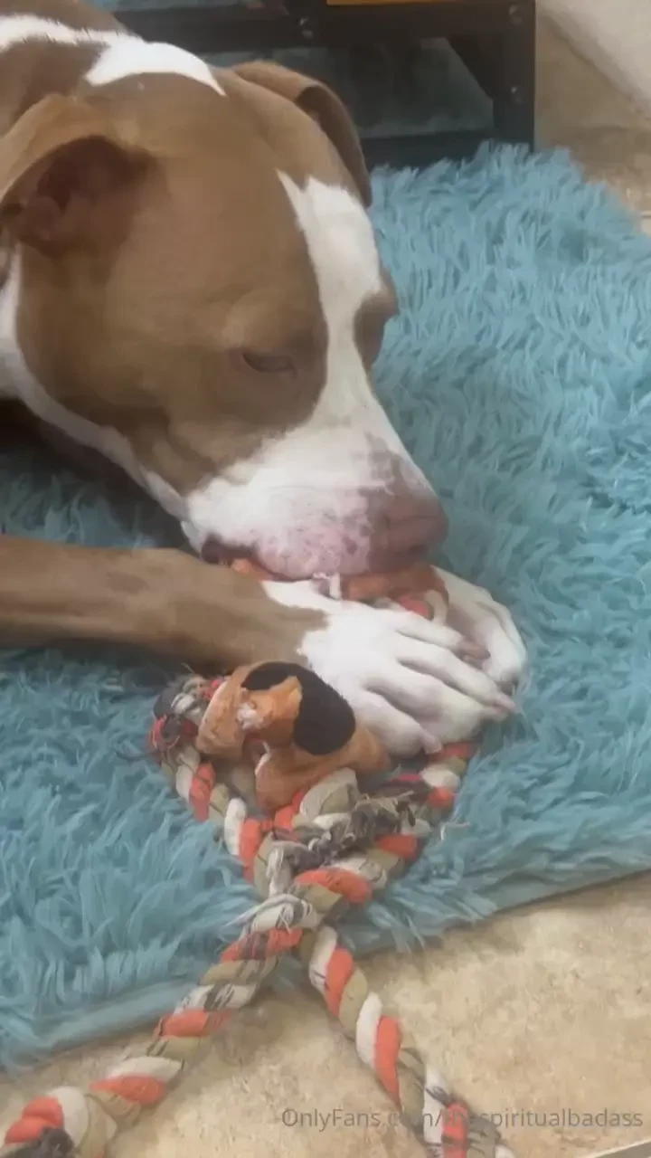 Boyfriends i m calling in emergency help for my baby zoey who is my 