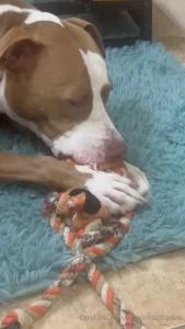 Boyfriends i m calling in emergency help for my baby zoey who is my