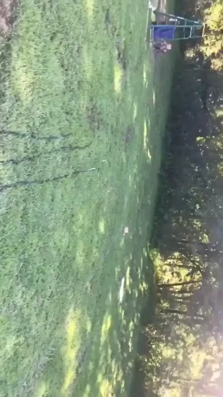 Onlyfans only video just for you follow mpvisuals for wam unedited 