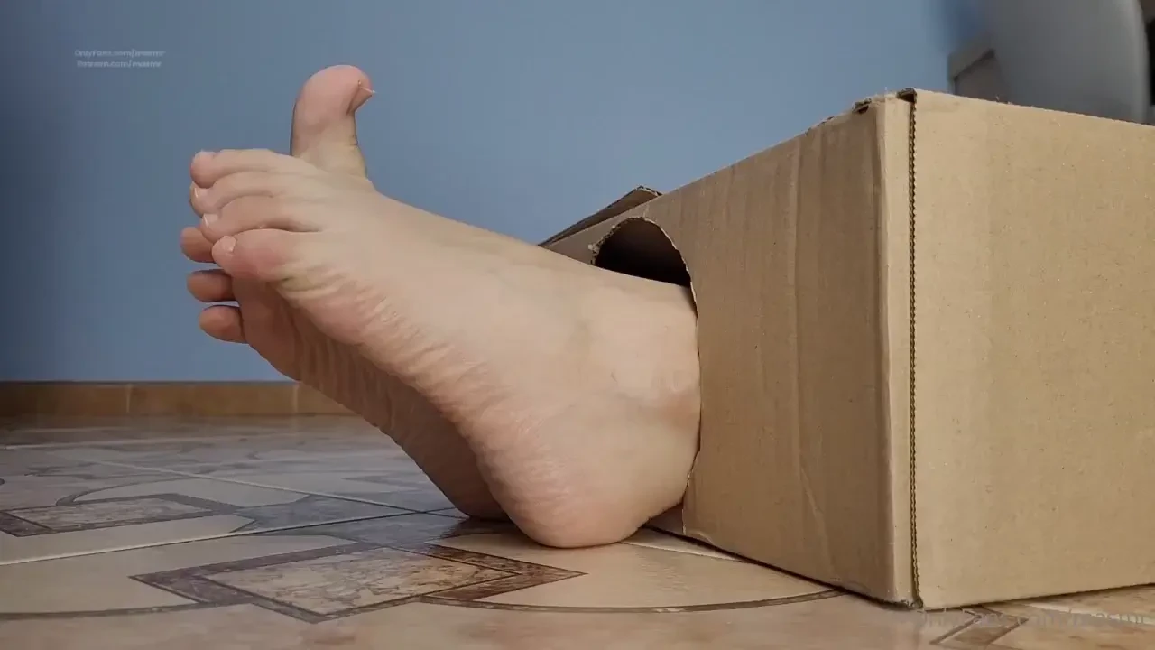12 december - bare feet in the box natural toes wiggling fan s custom 