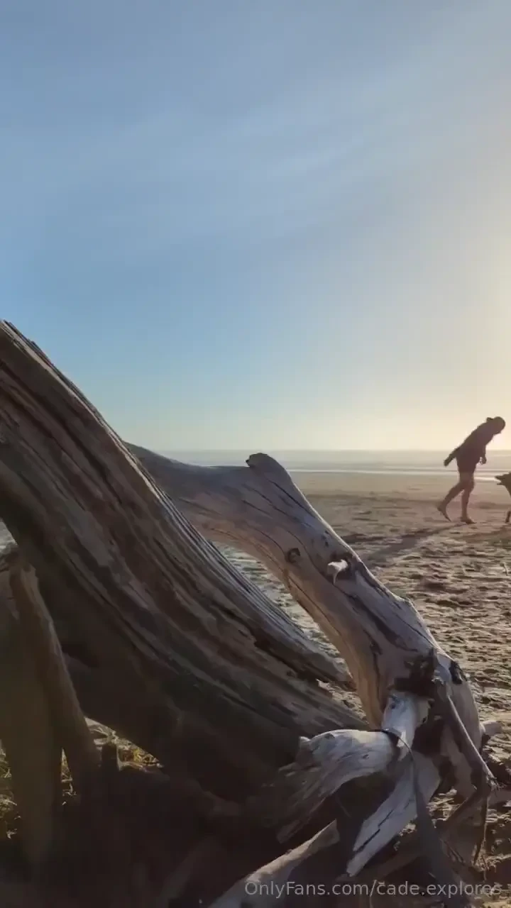 What s the difference between the coast and the beach 