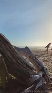 What s the difference between the coast and the beach